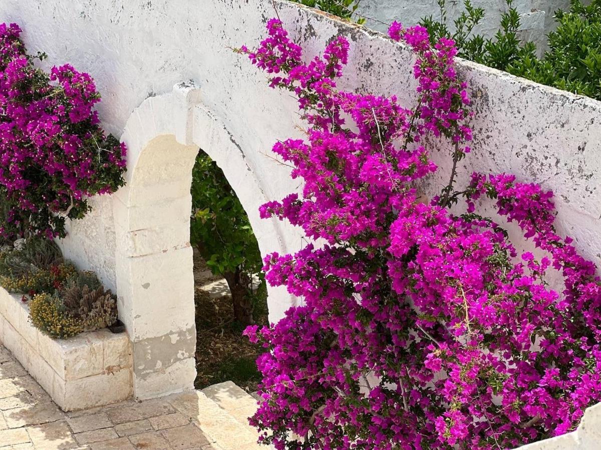 Masseria Piccole Taverne روزا مارينا المظهر الخارجي الصورة