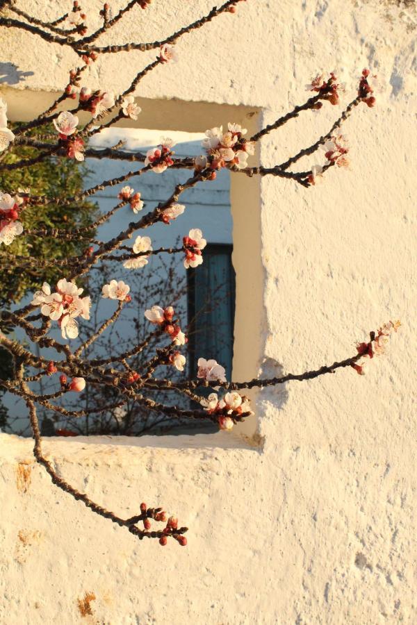 Masseria Piccole Taverne روزا مارينا المظهر الخارجي الصورة