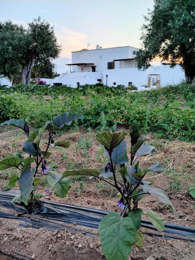 Masseria Piccole Taverne روزا مارينا المظهر الخارجي الصورة
