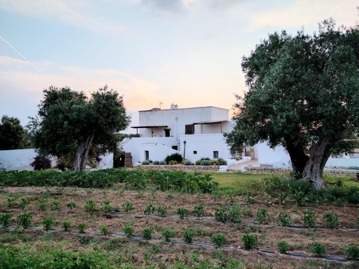 Masseria Piccole Taverne روزا مارينا المظهر الخارجي الصورة
