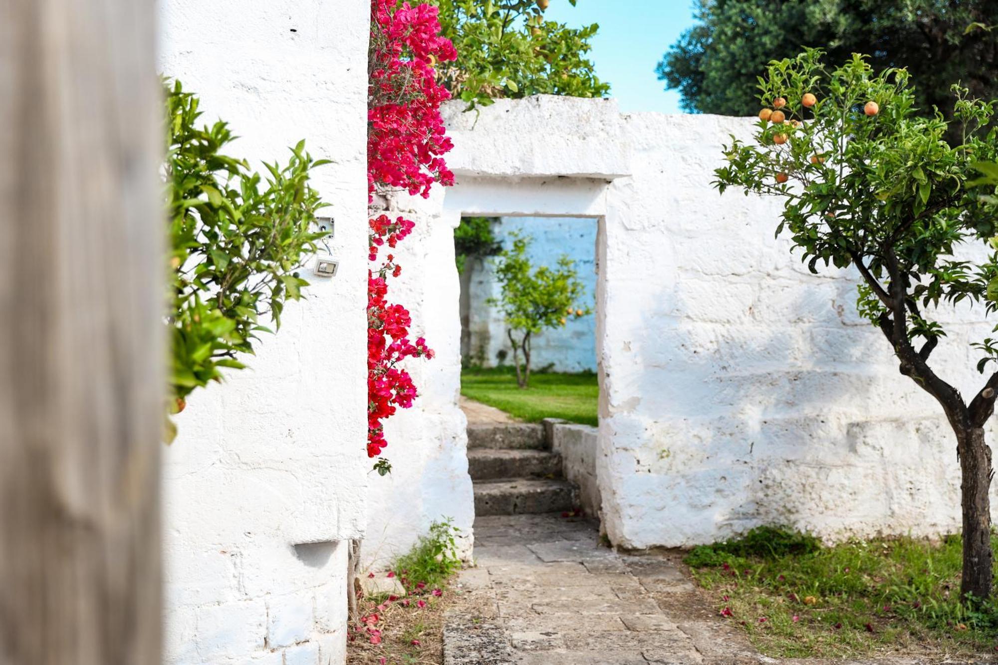 Masseria Piccole Taverne روزا مارينا المظهر الخارجي الصورة