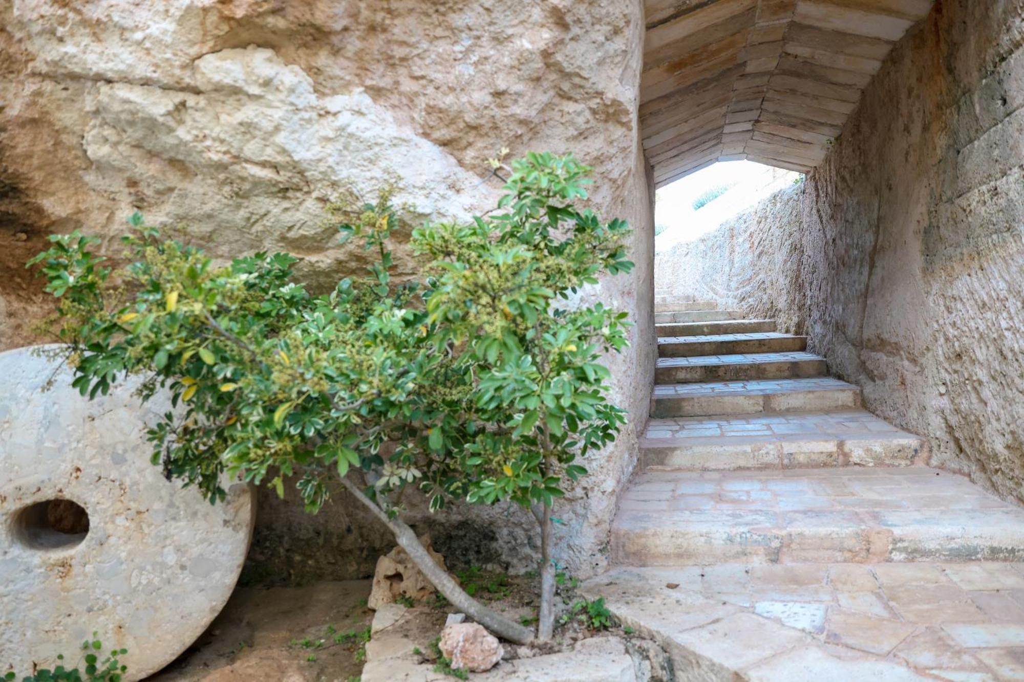 Masseria Piccole Taverne روزا مارينا المظهر الخارجي الصورة