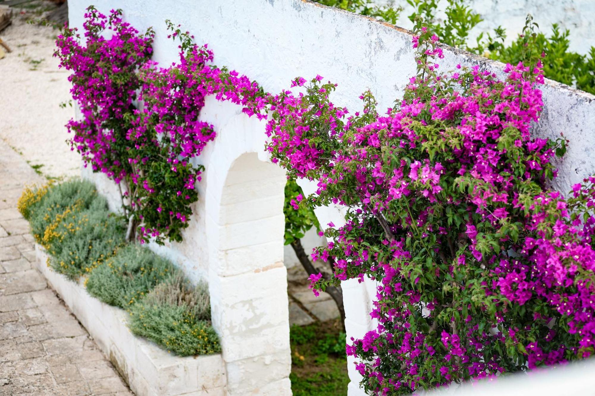 Masseria Piccole Taverne روزا مارينا المظهر الخارجي الصورة