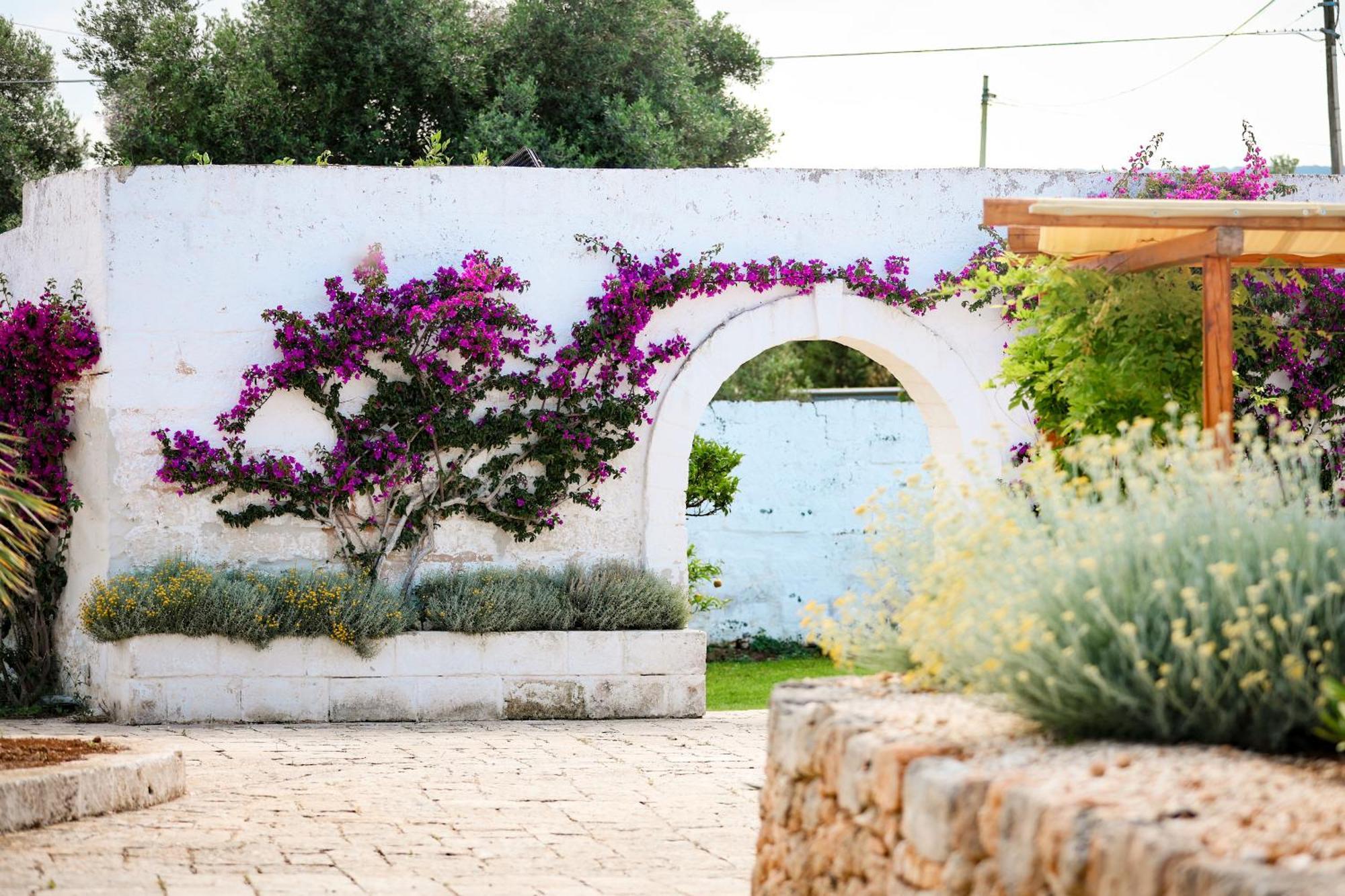 Masseria Piccole Taverne روزا مارينا المظهر الخارجي الصورة
