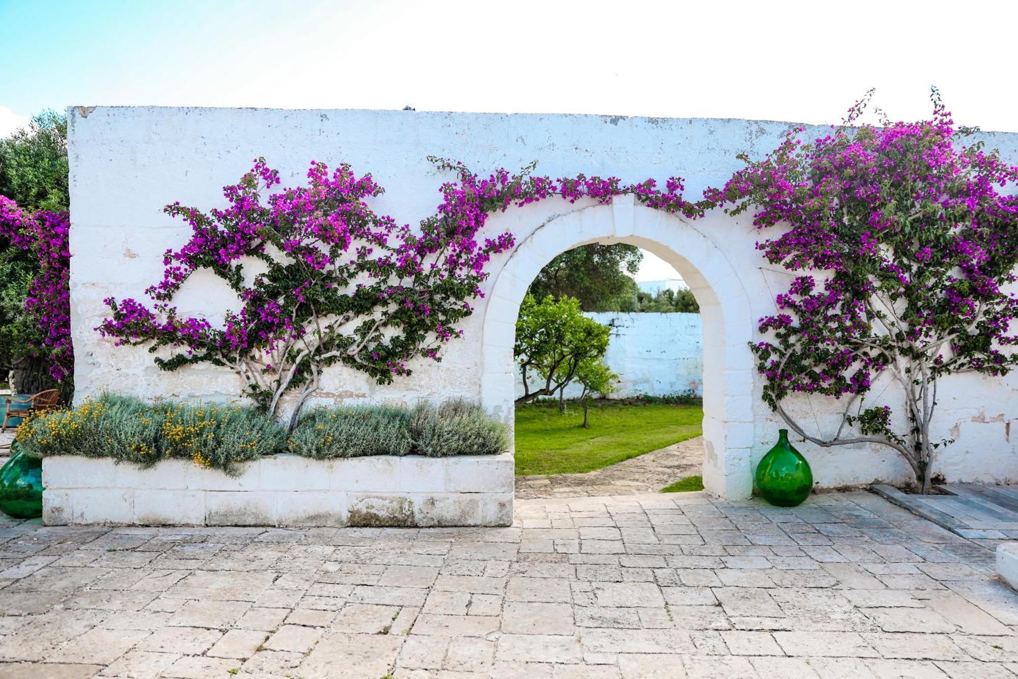 Masseria Piccole Taverne روزا مارينا المظهر الخارجي الصورة